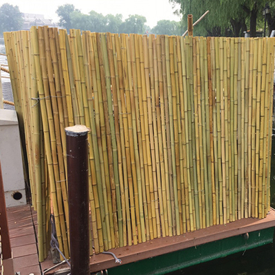 Cerca exterior de bambu decorativa do jardim de Tonkin Bamboo 1.5m da cerca do quintal