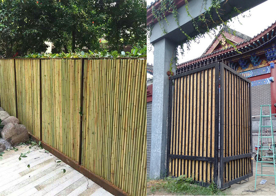 Tela de bambu rolada casa que cerca almofadar de bambu decorativo do jardim do quintal