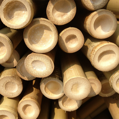 100% Moso durável forte natural Polo de bambu personalizam o comprimento