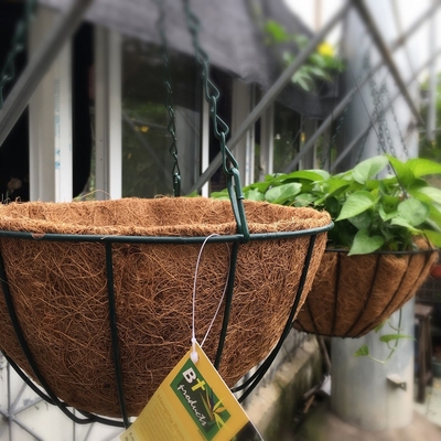 Cesta de suspensão do plantador do metal da decoração do jardim com o forro dos cocos da fibra de coco dos cocos