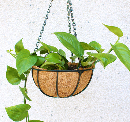 Cesta de suspensão do plantador do metal da decoração do jardim com o forro dos cocos da fibra de coco dos cocos