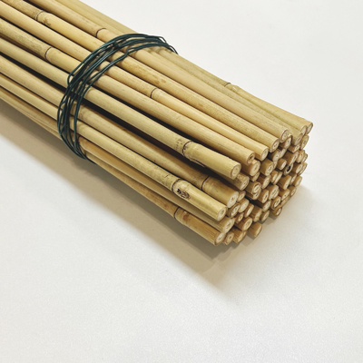 Moso enfileira Polos que de bambu os bastões estacam as varas que cultivam a decoração de jardinagem do apoio
