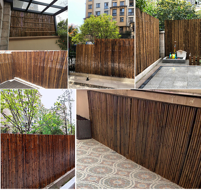 Jardim de bambu natural da matéria prima que cerca os painéis com comprimento de 180cm 240cm