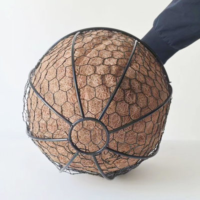 Cesta de suspensão do plantador do metal da decoração do jardim com o forro dos cocos da fibra de coco dos cocos
