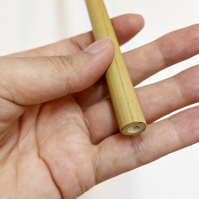 Cabeça de bambu de Tonkin para sustentar o crescimento das plantas