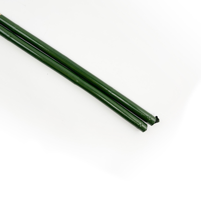 verde Polos de bambu do comprimento de 40cm 60cm 90cm 120cm que pintam o verde