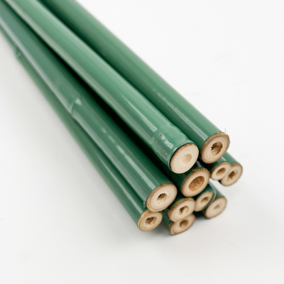 verde Polos de bambu do comprimento de 40cm 60cm 90cm 120cm que pintam o verde