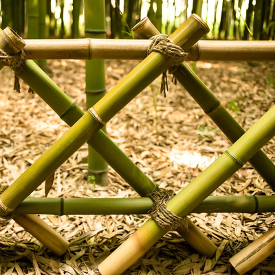 100% Moso durável forte natural Polo de bambu personalizam o comprimento