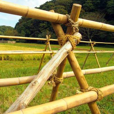 100% Moso durável forte natural Polo de bambu personalizam o comprimento