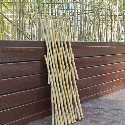 Jardim flexível de bambu expansível da treliça de Polos que cerca para a decoração 120*180cm do balcão