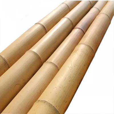 Vara de Bambu Resistente – Perfeita para Projetos DIY, Suportes e Decoração