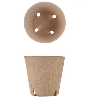 Copo de papel de sementes de jardim de jardim Planta redonda Germinação de ervas herbáceas Inicial de polpa Vaso de sementeira bandejas