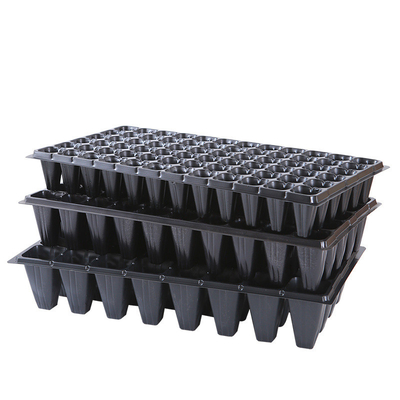 Flatos grossos duráveis Vegetais Frutas Sementes Sementes Plug de plástico Farmer Niterói bandejas