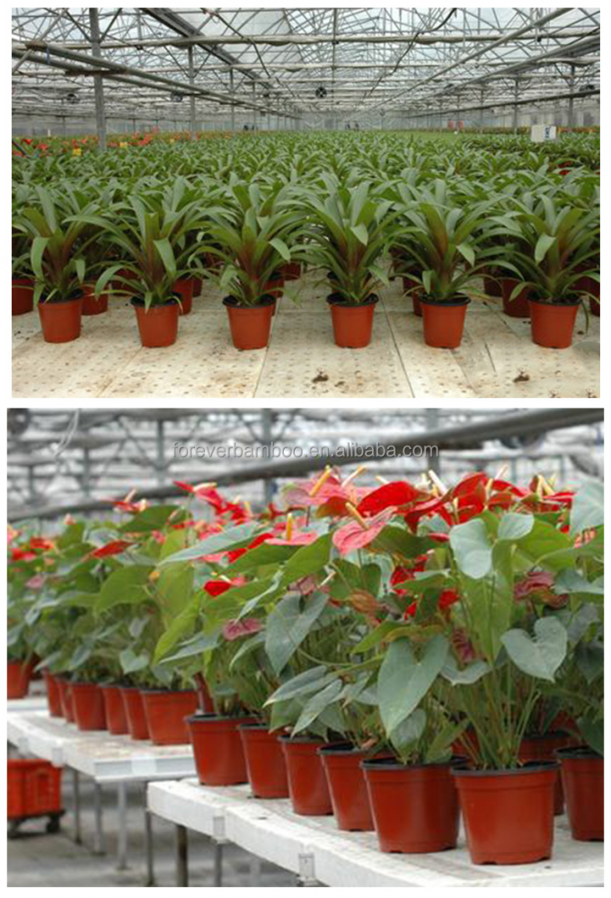 Vaso de plástico durável, recipiente para plantas leve e versátil 1